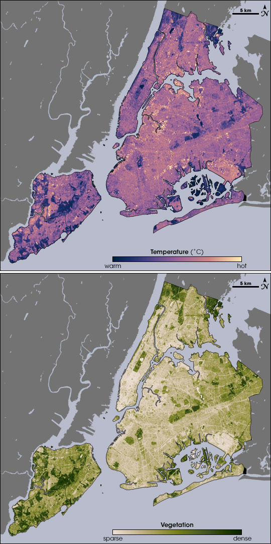 Satellite images sohw the relationship between surface temperature (top image) and vegetation (bottom image) in New York City. Courtesy of NASA Earth Observatory.