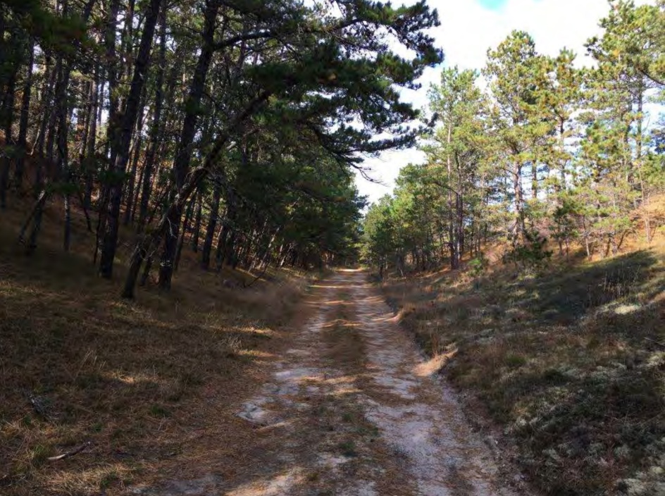 Wellfleet Debates Details Over Northern Extension of Cape Cod Rail