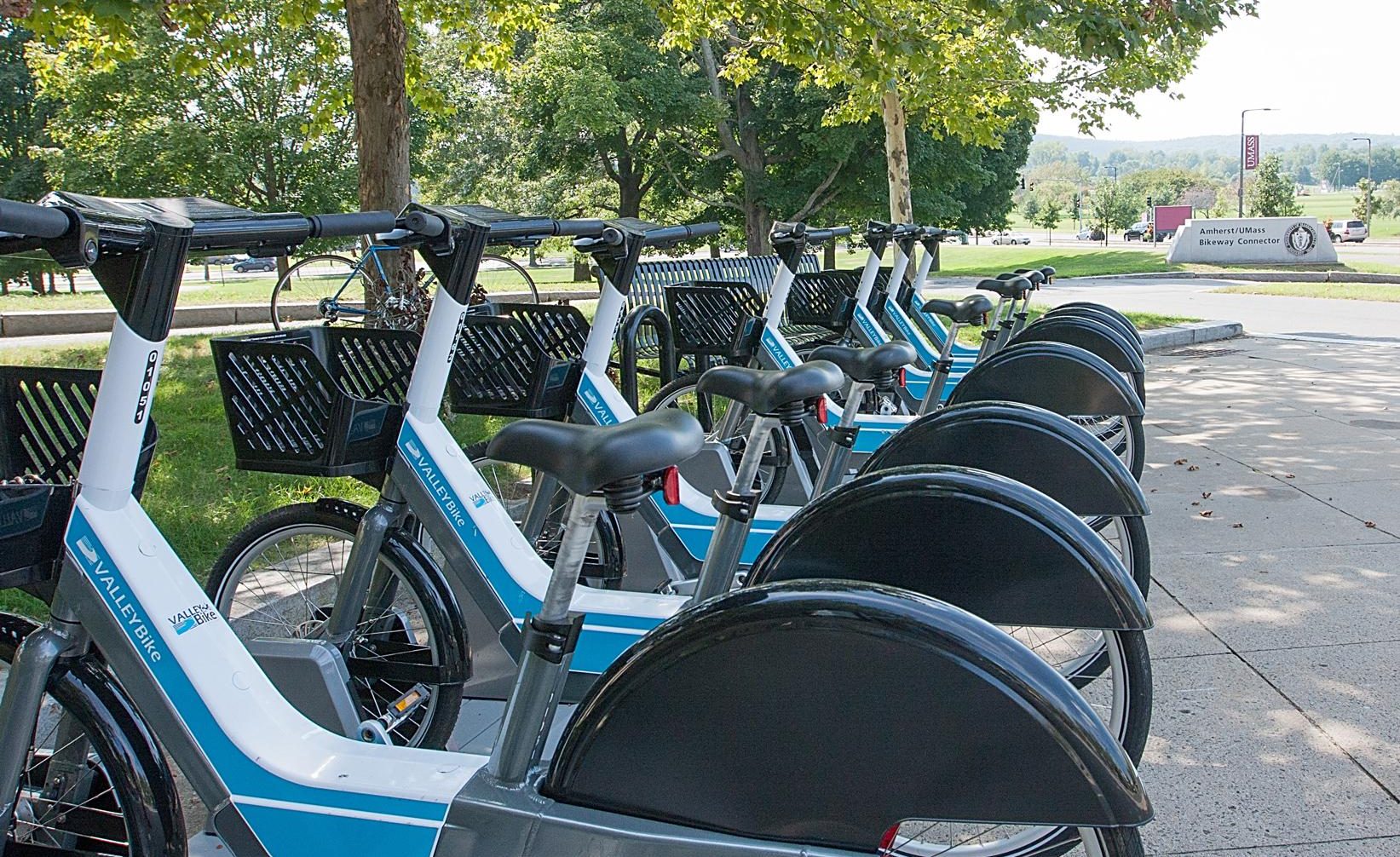 A row of docked blue, white, and black ValleyBike shared bikes parked along a paved street under the shade of some leafy trees.