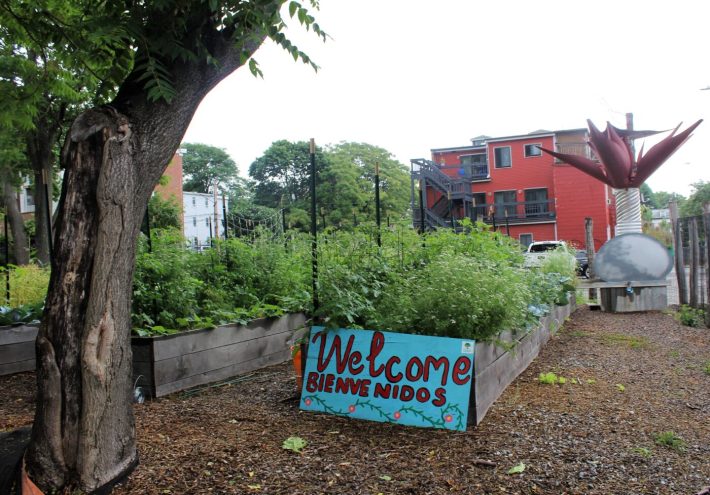 GreenRoots community farm in Chelsea