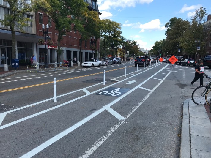 New protected bike lanes on Brattle Street in Harvard Square, where the City of Cambridge recently eliminated one travel lane for motor vehicles to provide more space for bikes and pedestrians in response to recent killings by motor vehicle drivers.