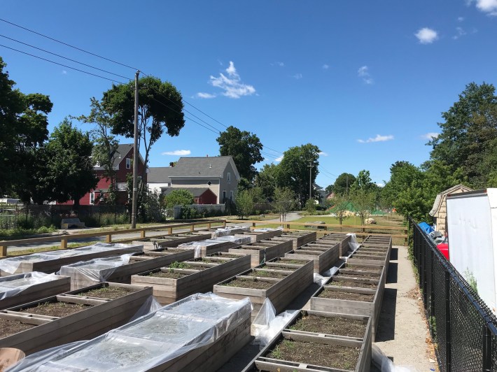 New raised garden beds are part of a new linear park and playground along the new Northern Strand Trail between Cottage and Spencer Streets in West Lynn.