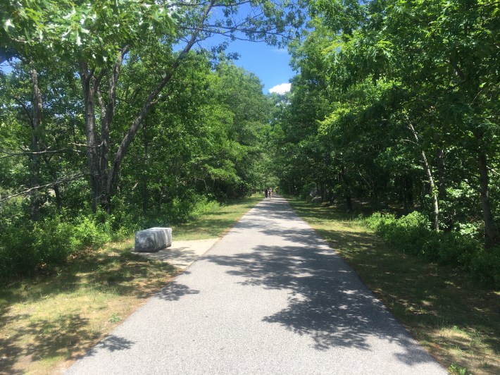 The Marsh Trail in Salisbury. Photo by Juliana Cherston.