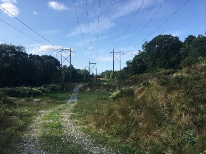 A meadow and power line on the Hultman Aqueduct trail