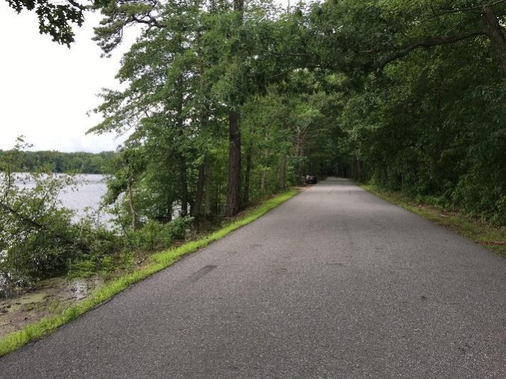 Pelham Island Road might as well be an extension of the MCRT – there's very little car traffic. You will pass by the entrance of the National Wildlife Refuge System with hiking options available.