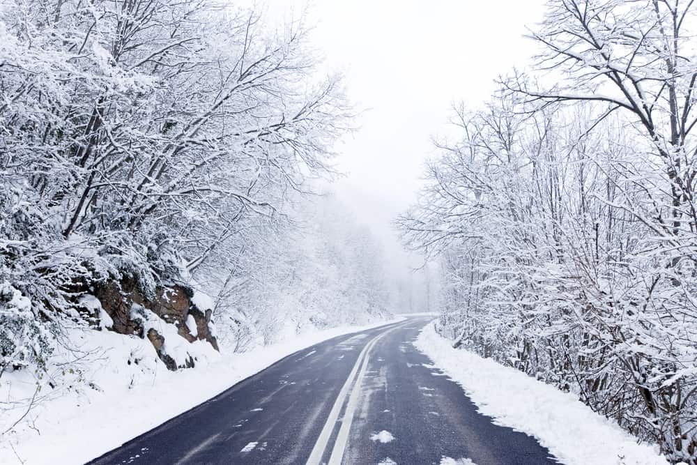 Backroad through a snowy forest
