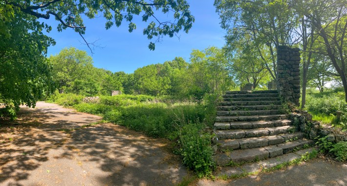 Franklin Park Overlook Ruins showing the rock steps and overgrown vegetation