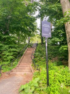 A stone stairway connecting the path along Jamaica Pond to the Pinebank Promontory.