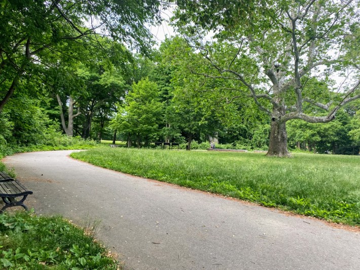 Pinebank Promontory, a place atop a set of stairs along the north side of Jamaica Pond. Miles shared, "“I didn't know about this until about a year ago. Coming to meet some friends for our pandemic picnic up here.”