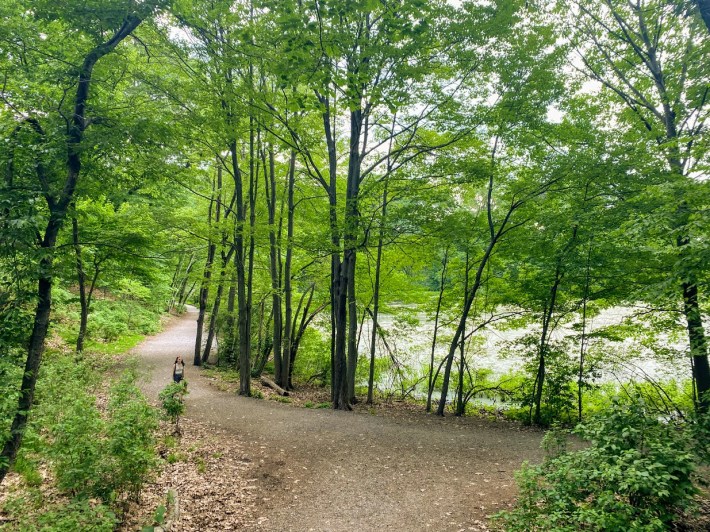 A woman walking the trail along Wards Pond, part of the Emerald Necklace and the Walking City Trail.