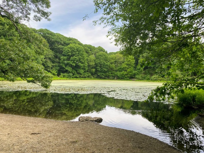 Wards Pond, a stop along the Walking City Trail on the Emerald Necklace.