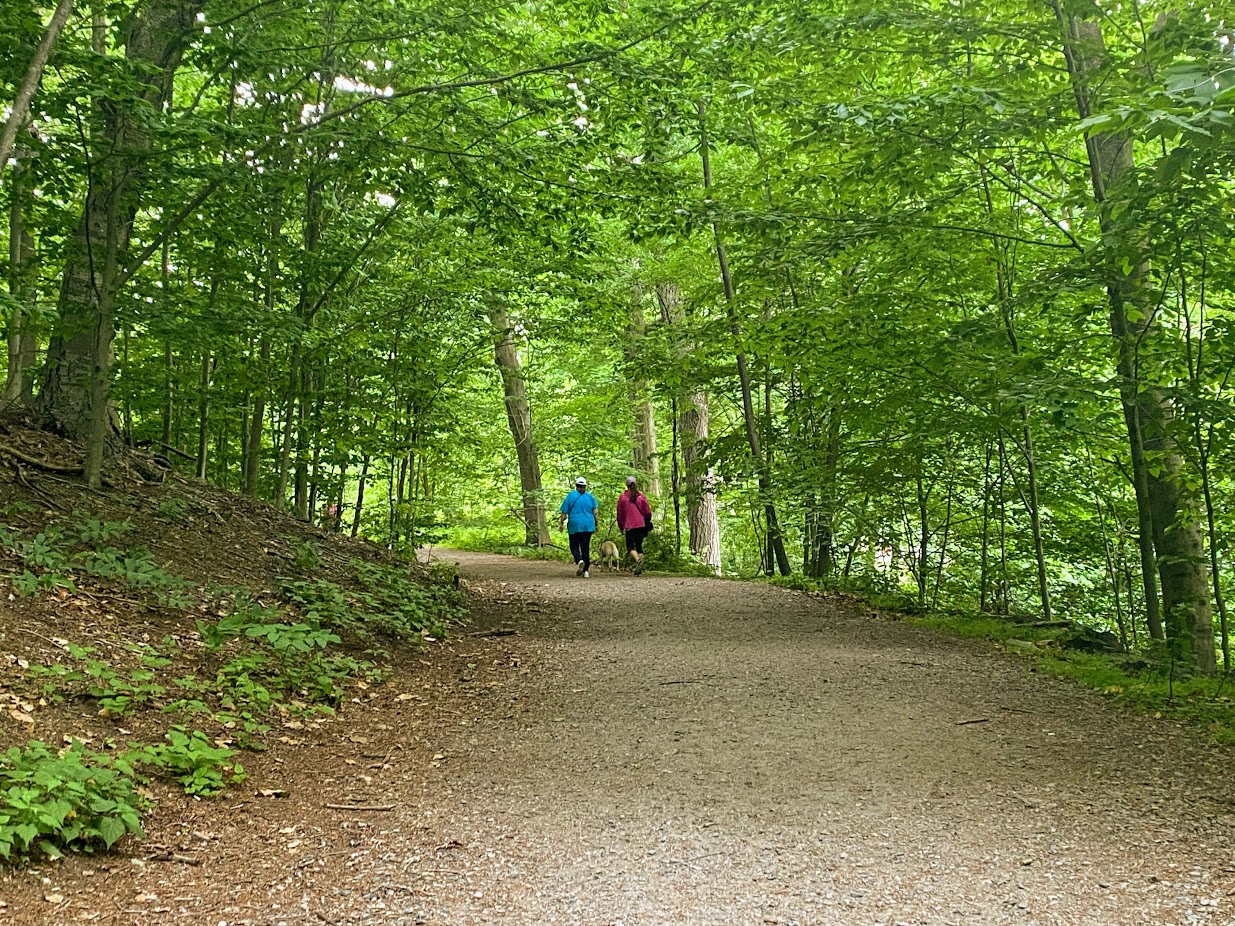 Two women walking their dog near Wards Pond on the Emerald Necklace.