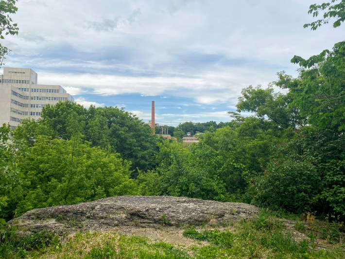 View from the top of Nira Rock, an urban wild near the Jamaica Plain VA Medical Center.