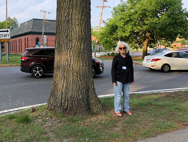 Jane Sherrill stands next to a large tree next to the traffic circle. Her apartment building is in the background, on the other side of the rotary; there are no crosswalks.