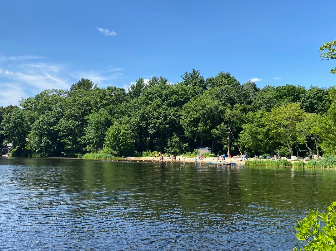 A view of a pond with a small beach and forests on the opposite shore