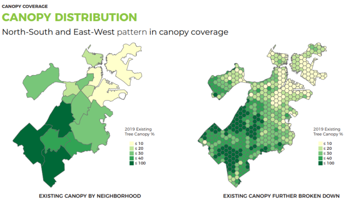 Slide from a March 2022 Open House presentation by the Boston Urban Forest Plan team showing canopy coverage, area covered by branches and leaves, as seen from above, across the City of Boston in 2019. Tree planting is being prioritized for areas with less than 10% of canopy coverage.