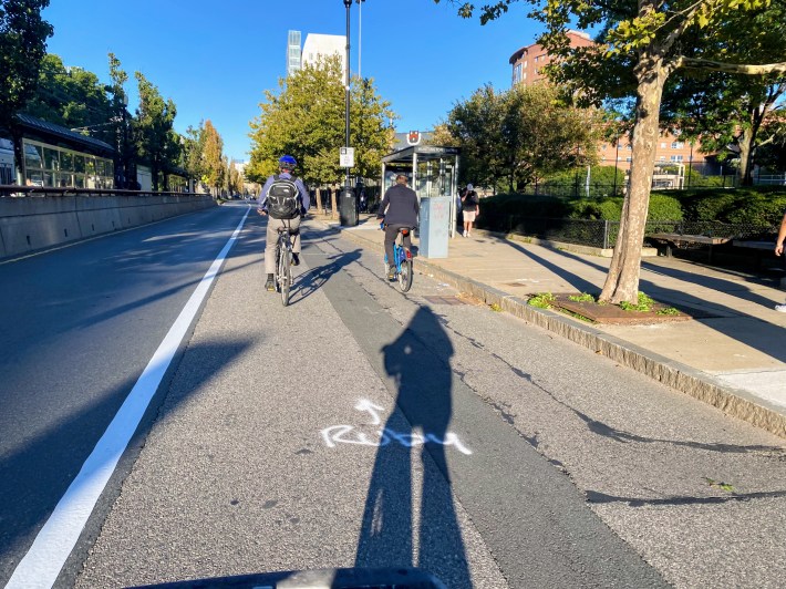 two bicyclists ride on the street next to a bus stop and tree lined sidewalk