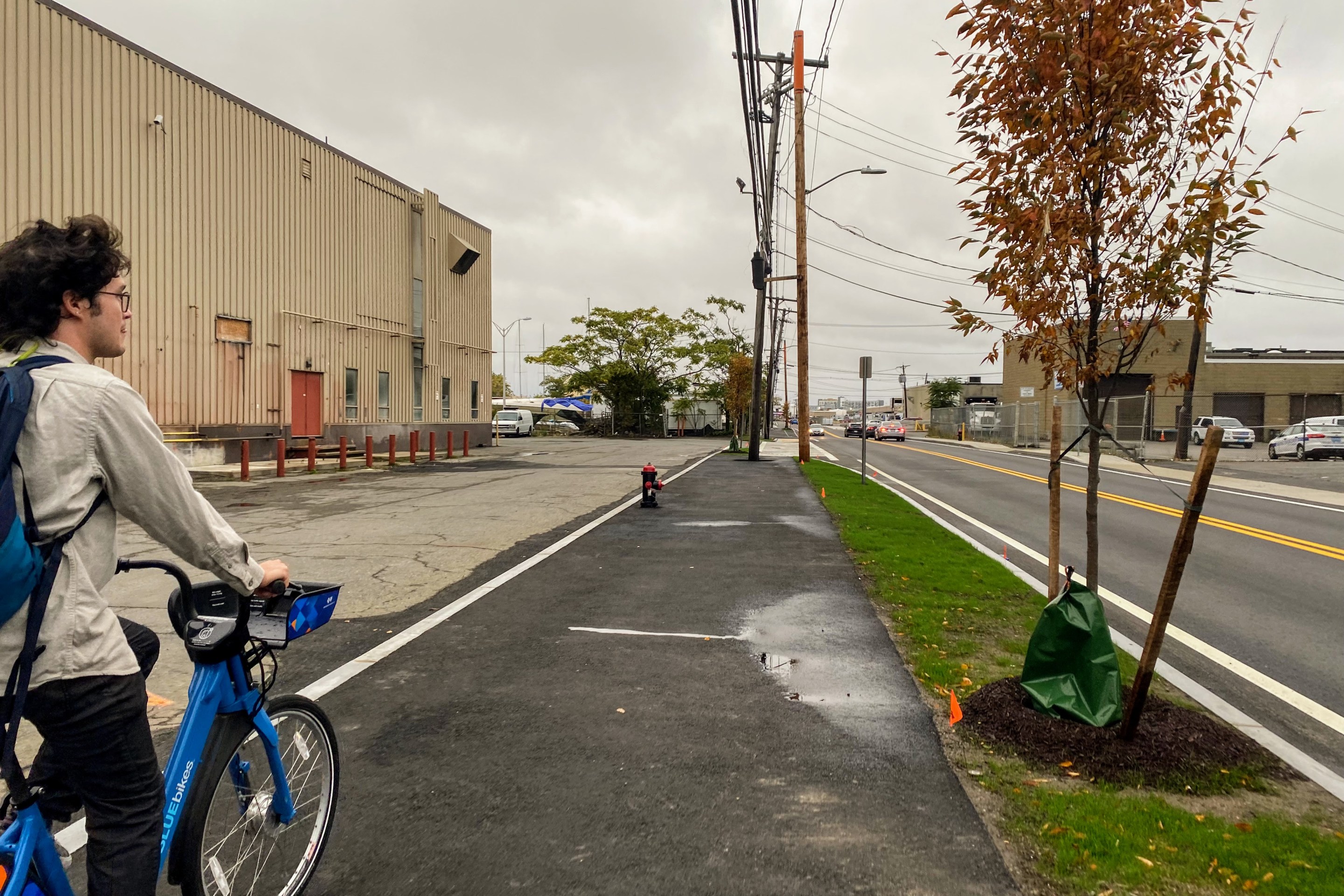 bicyclist rides on a new black asphalt bike path next to a stretch of grass with newly planted trees next to a road