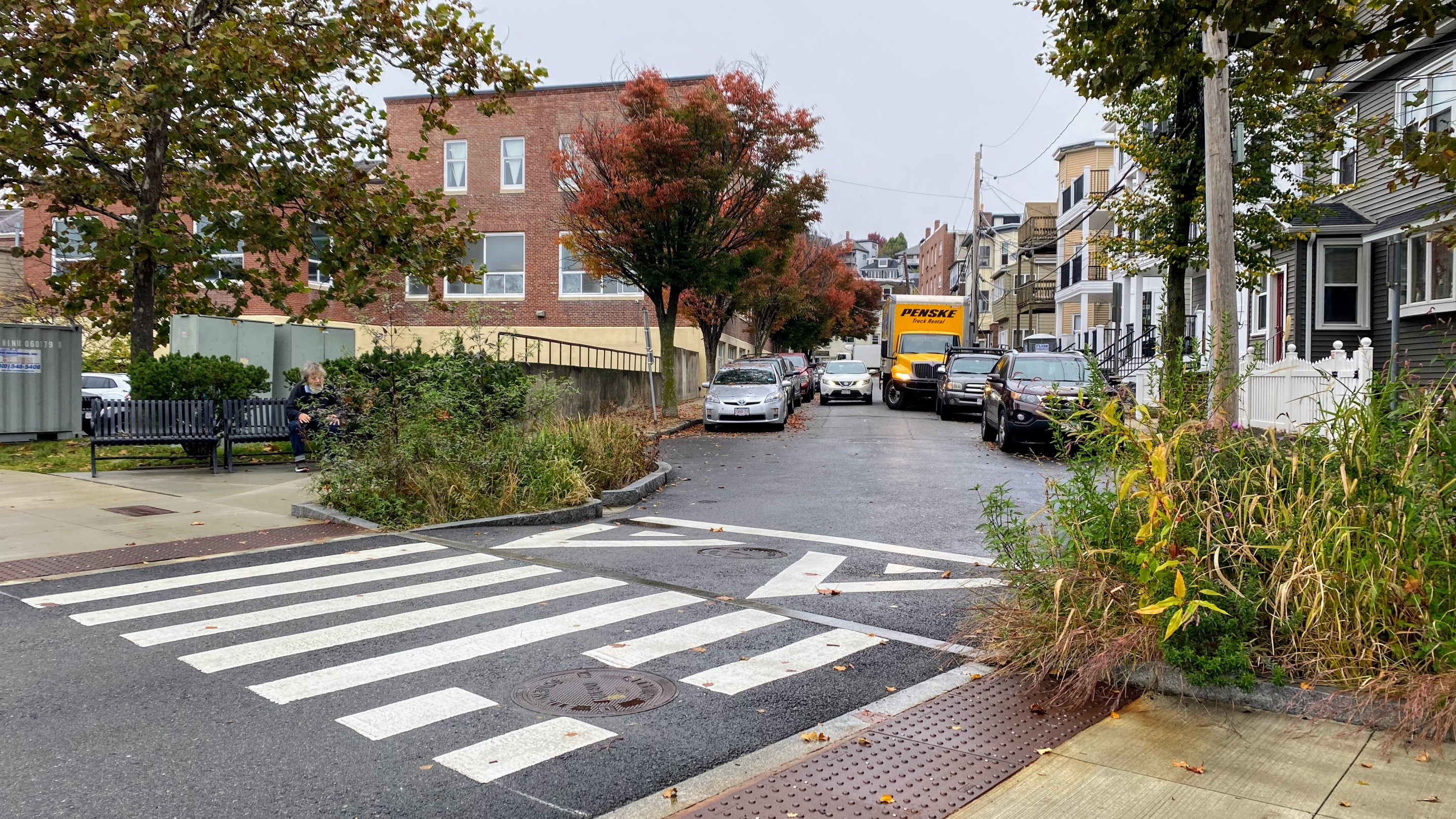 a white striped crosswalk with two vegetated curb extensions on either side.
