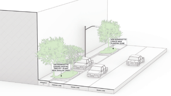 trees planted in bulb-outs replacing parking spaces next to two lanes of traffic.