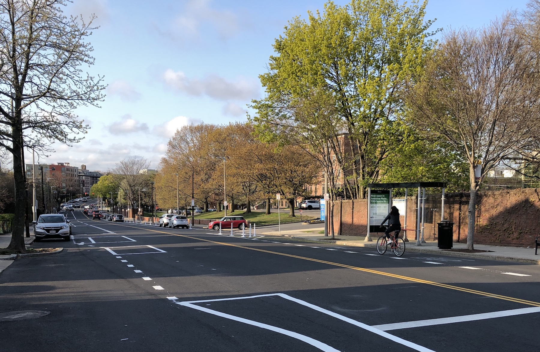 A freshly-paved street with new bicycle lane markings. On the other side of the street a woman on a bicycle rides past a bus stop. Beyond the bus stop are several large trees budding with new leaves.