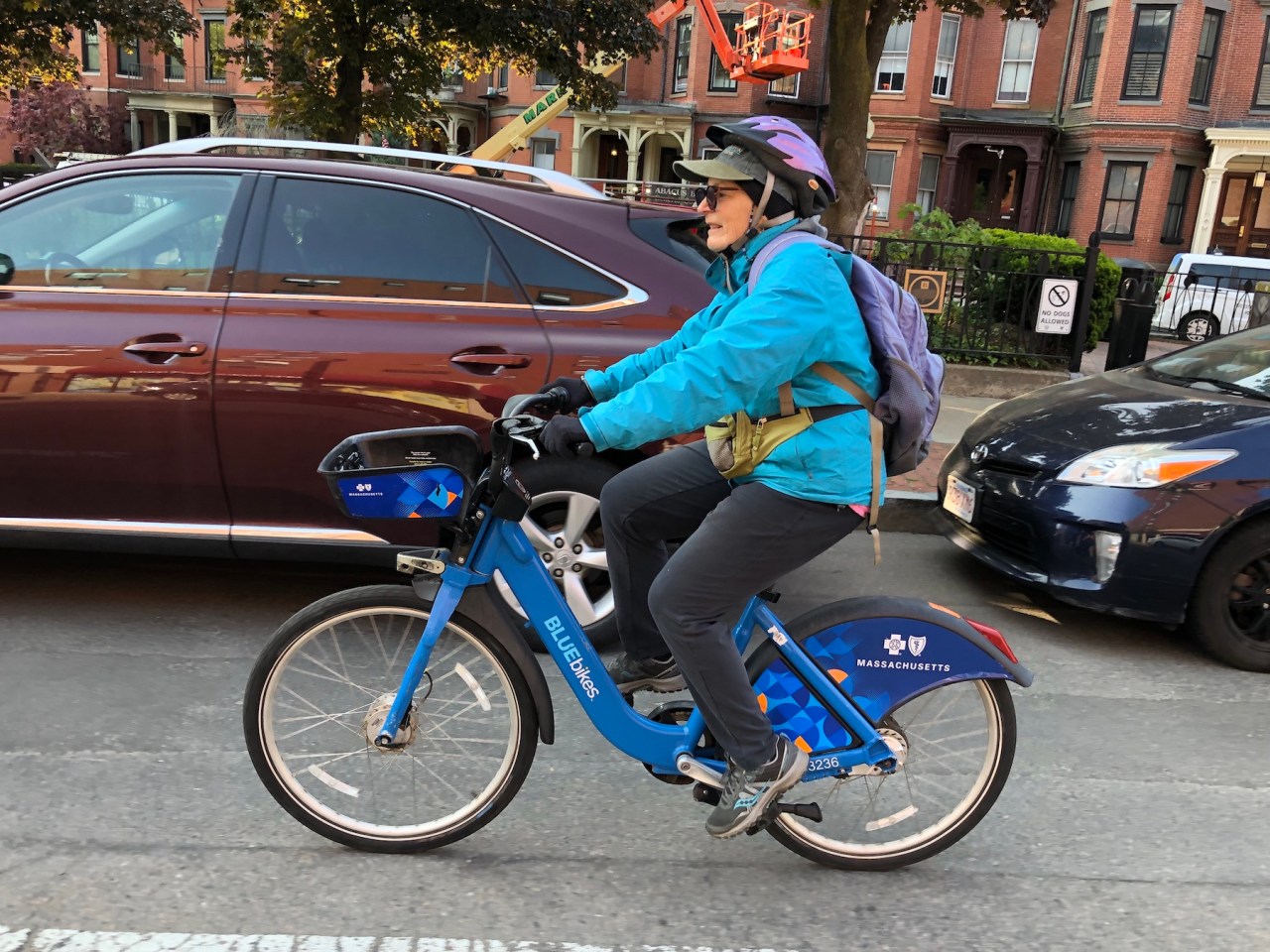 A woman wearing a teal jacket, purple backpack, a baseball cap, and a purple bike helmet pedals a Bluebike down the street next to a row of parked cars.