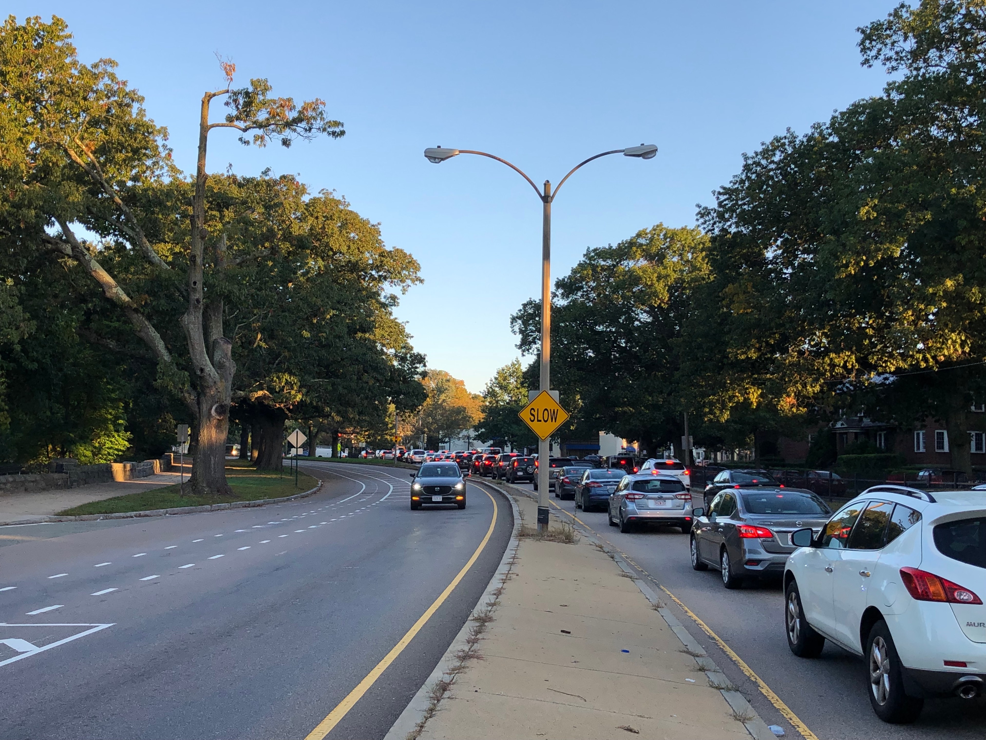 A long line of cars waits in two lanes of stopped traffic on the right, while on the left, a single car drives down a roadway next to a wide bike lane. A concrete median divides the two sides of the road, and on the edges of the photo are large, mature leafy trees.