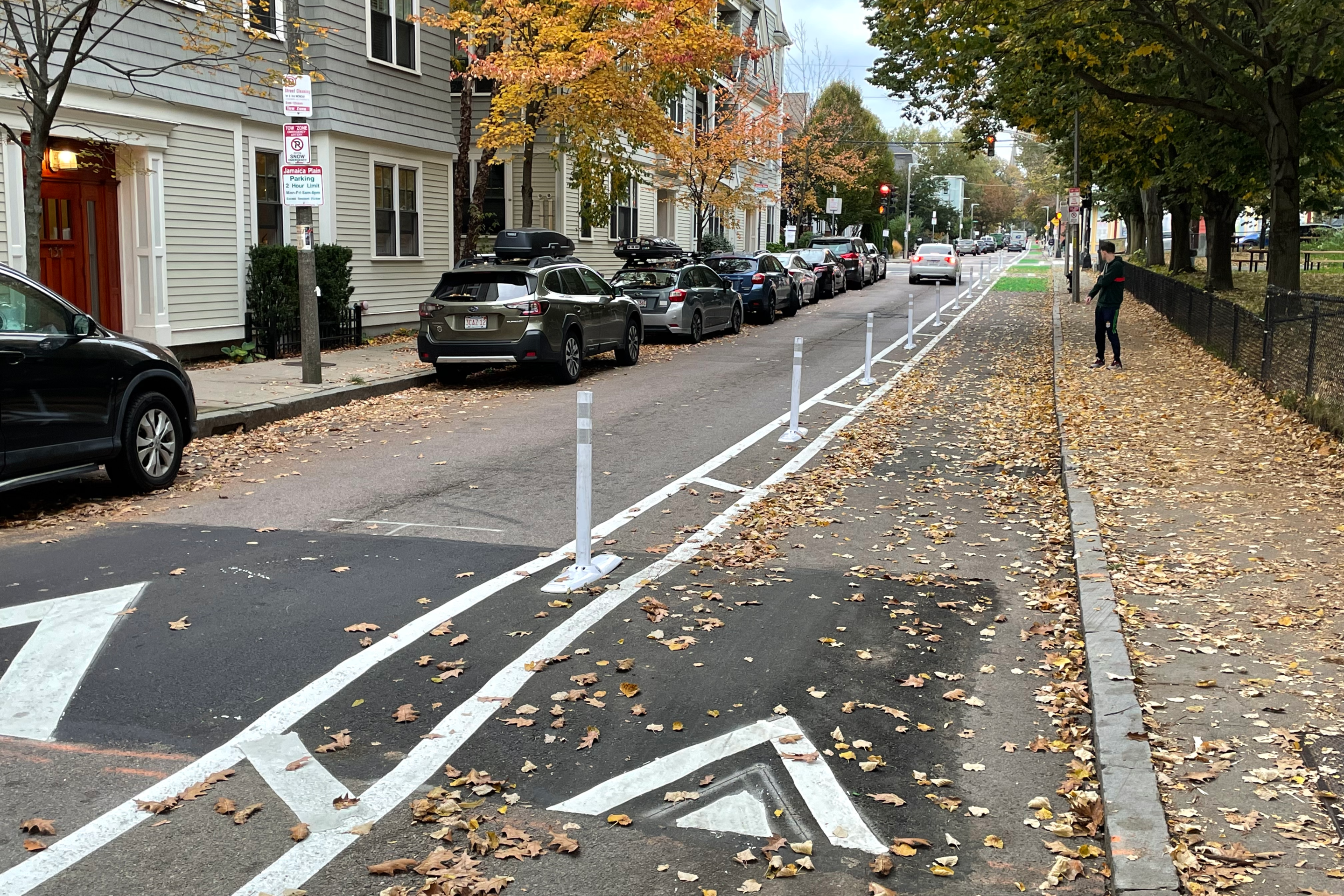 A bike lane, marked by two parallel white lines, with a row of flexible-post bollards in between the two white lines. In the foreground is a speed hump marked with white triangles. A row of cars is parked on the left side of the street. The Lamartine Street traffic signal is visible in the distance.