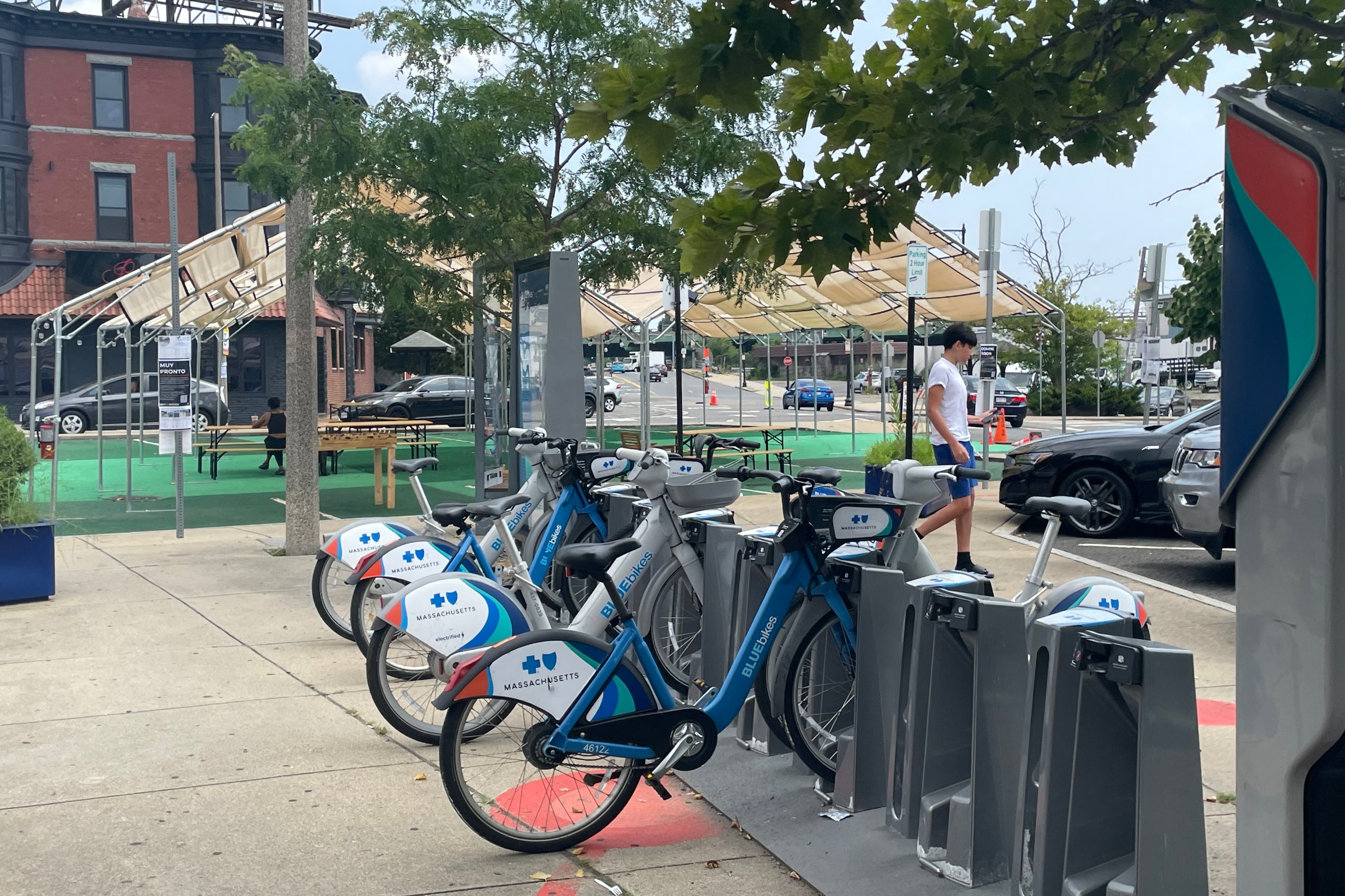 Bikes at a bikesharing dock under the shade of a tree, with a tent visible in the background.