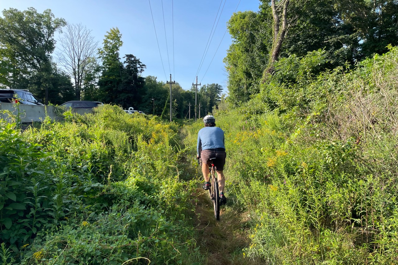 A man on a bike rides along a track that's crowded with tall grass and weeds under two power lines.