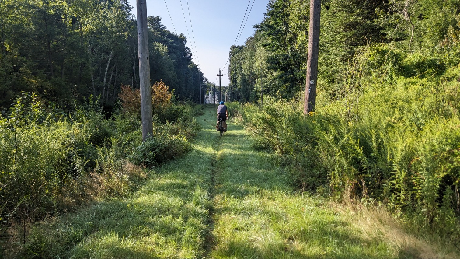 A person on a bike rides along a single-track dirt path through some mown grass through a forest. The trail runs between two rows of utility poles and wires that stretch towards a substation on the horizon.