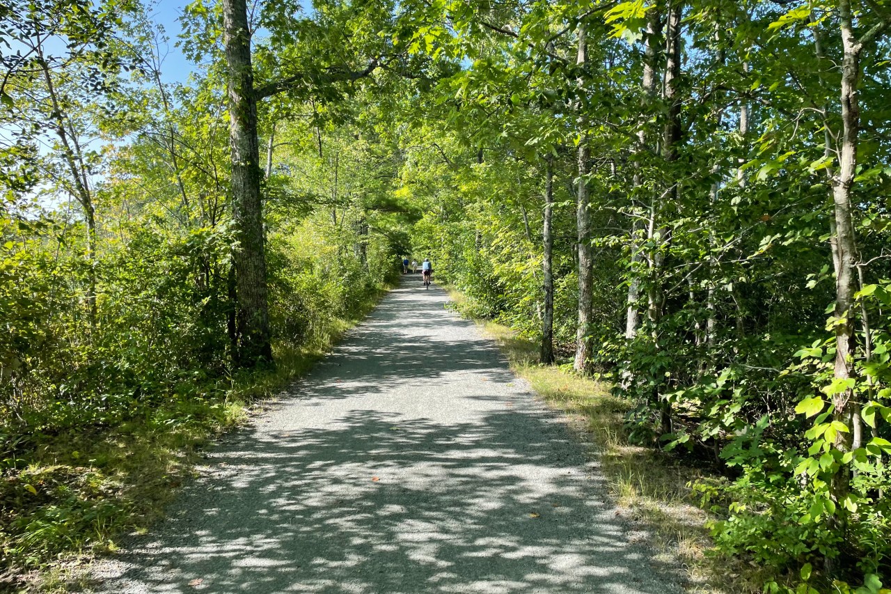 A straight stone-dust path runs through a tunnel of deciduous trees