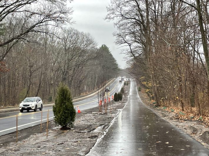 A bike path runs parallel next two a two-lane roadway to the horizon through a forest. Between the bike path and the roadway are some orange construction barrels and some newly-planted trees in a 10-foot-wide strip.