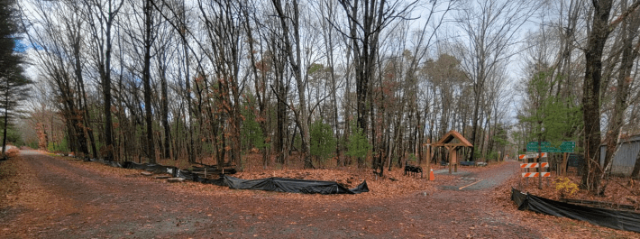 Two straight trails meet in a forest in late fall. The trail on the right is paved, and there's a trail kiosk on one side, and an orange construction fence next to a green sign with mileage markers on the other. The other trail running off to the distance at the left edge of the photo is long straight gravel path.