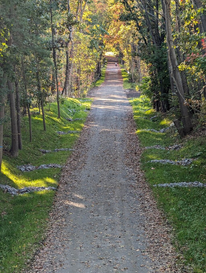 A long gravel road lined with fallen leaves stretches to the horizon through a forest where leaves are starting to turn yellow and red.