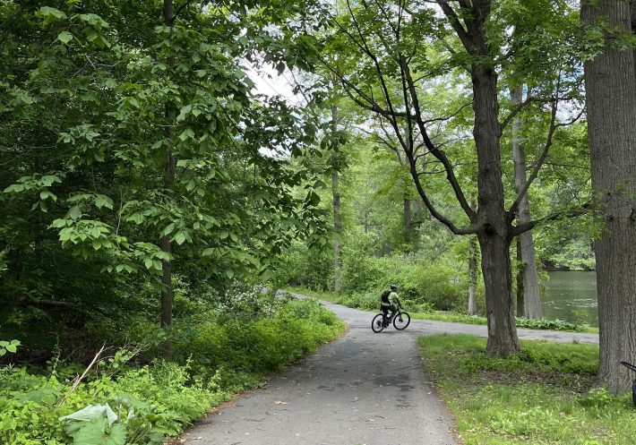 A cyclist rides along a winding path through green forest with trees on both sides of the trail. Behind the trail is a body of water in the background.
