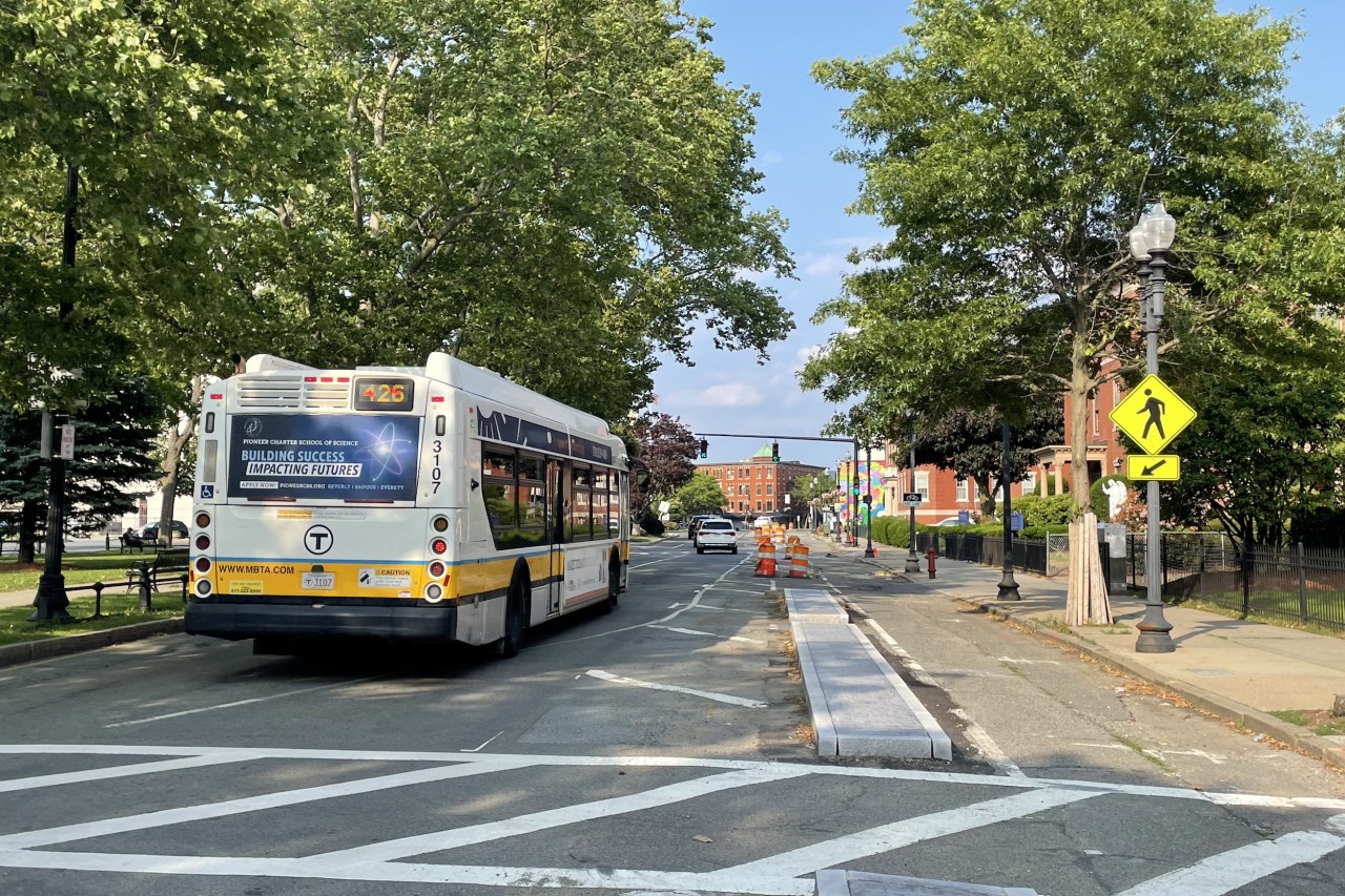 A city street lined with large mature deciduous trees. In the foreground are an MBTA bus (left) and a crosswalk sign (right). A curbed median divides the street with two lanes for cars on the left and a bike path and sidewalk to the right.