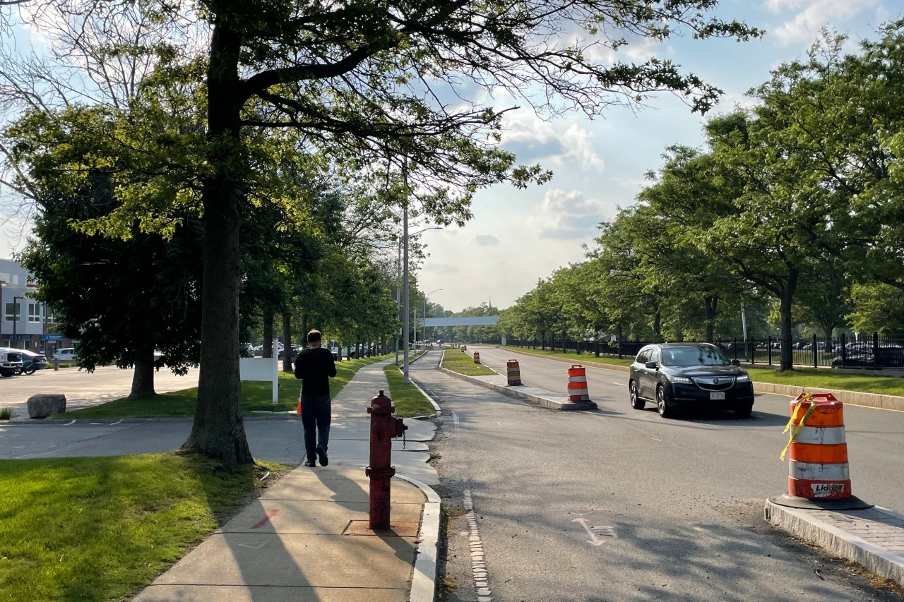 A man walks on a sidewalk next to an under-construction bike path lined with orange construction barrels. A highway runs to the right of the bike path, and mature trees line both sides of the roadway.