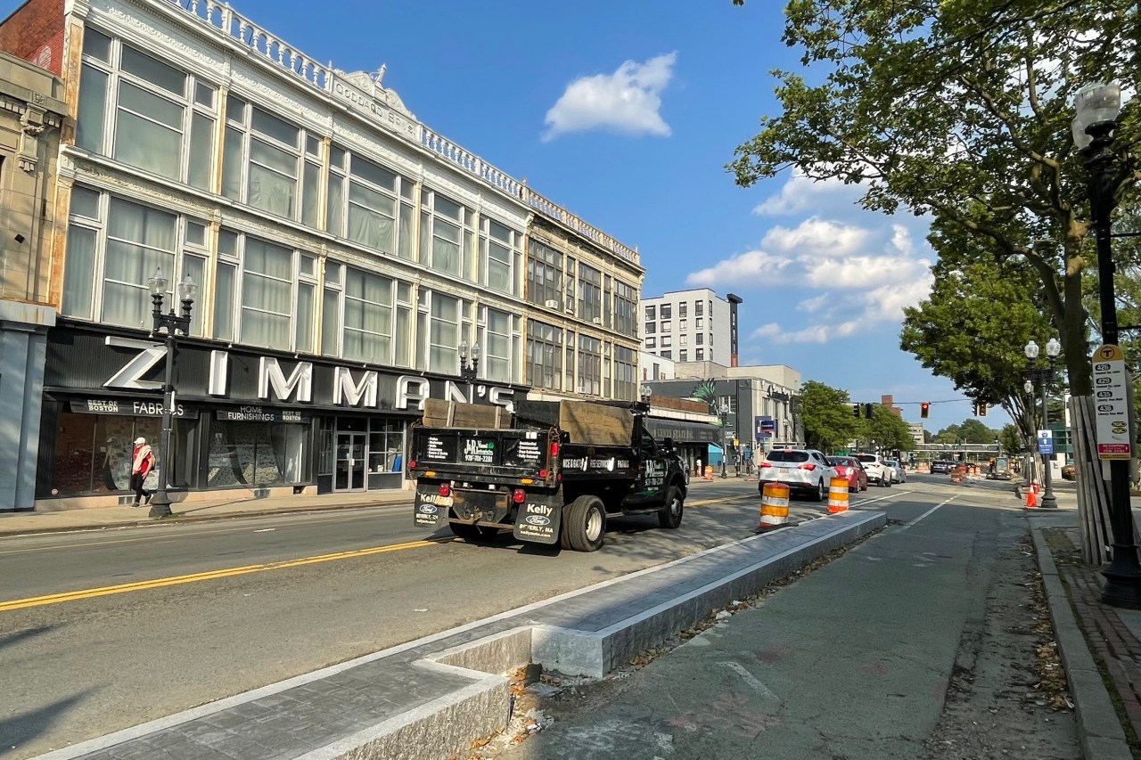 A city street with a n ornate three-story building on the opposite side with a large sign reading "ZIMMAN'S" above its ground-floor storefront. In the foreground a curbed median divides the street with two lanes for cars on the left and a bike path and sidewalk to the right.