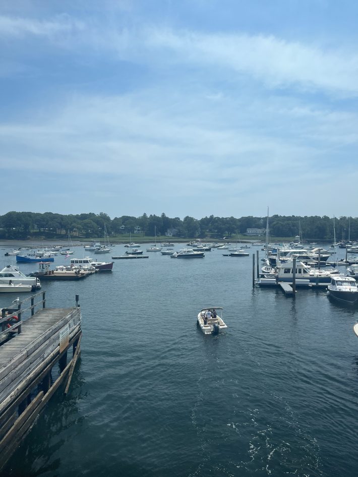 A harbor filled with boats of varying sizes, with a wooded shoreline and houses in the background and a lightly cloudy sky above.