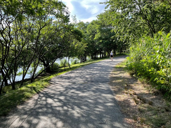 A woman walks along a wide asphalt path that curves through a grove of leafy trees along a riverbank. Water is visible through the trees at the left side of the photo.