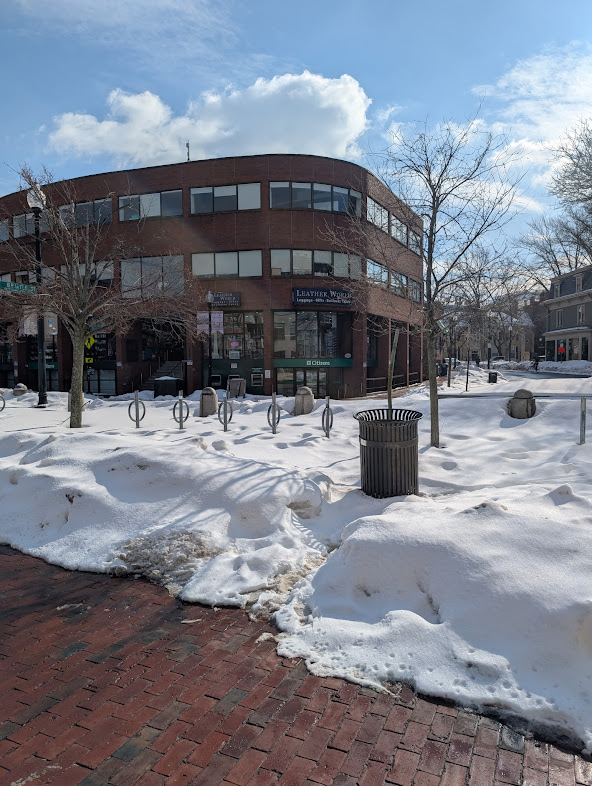 Black public bike racks in Harvard Square buried in a snow bank, with only the metal tops visible. Nearby, a black public trash can is also snowed, with footprints leading to it.